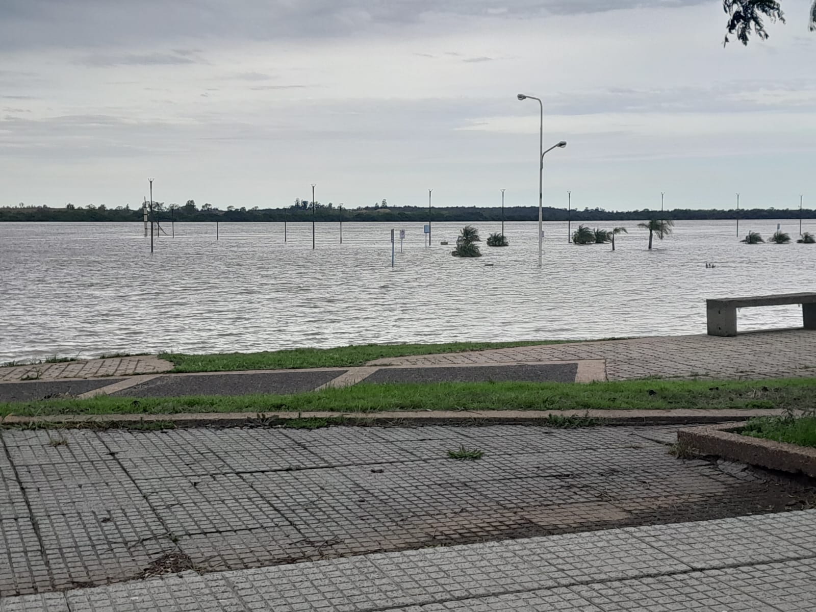 Hidrología de CTM informó que el Río Uruguay no superará los 11,20 Metros en Concordia