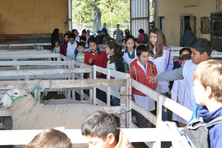 Arrancó la 128° Exposición Rural de Concordia