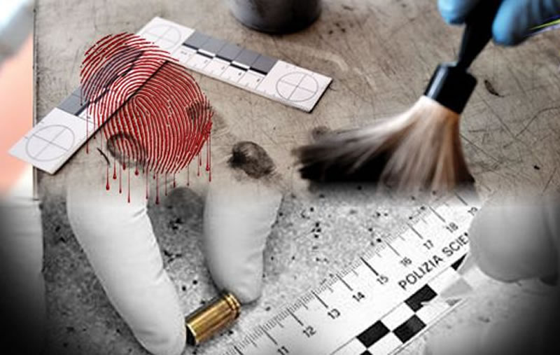 Conociendo el trabajo de los criminalistas y como la ciencia ayuda a resolver crimenes