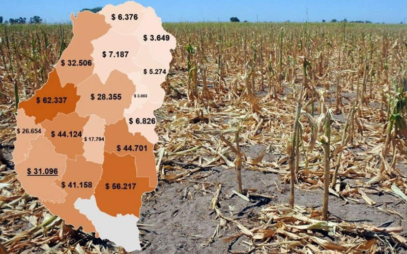Impacto económico de la sequía en la provincia, hubo pérdidas por 570 millones de dólares