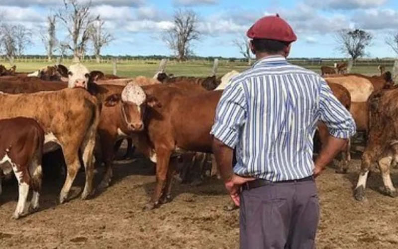 Día del Trabajador Rural y Día de los Tíos