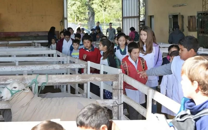 Arrancó la 128° Exposición Rural de Concordia