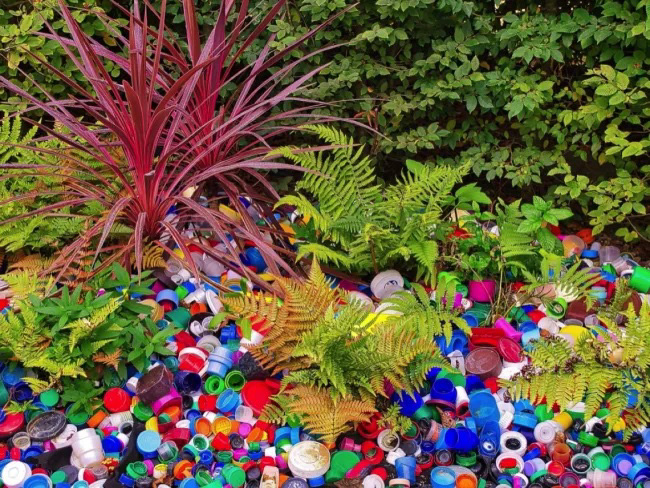 ¡Ojo! Las plantas que comemos pueden contener plástico