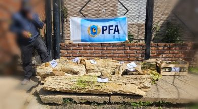 WhatsApp Image 2023-10-04 at 17.02.15