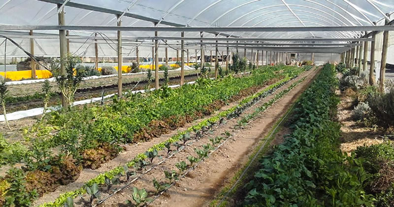 Jornada de INTA: «Horticultura Consciente»