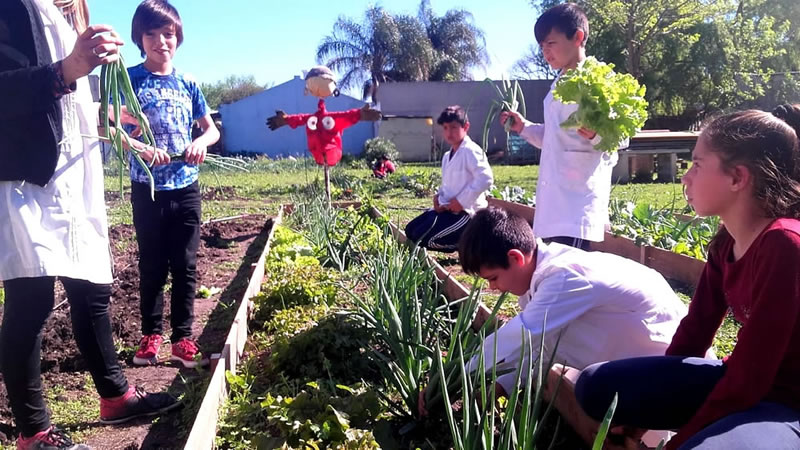 Se realizará el cierre anual del Programa Red de Escuelas Sustentables