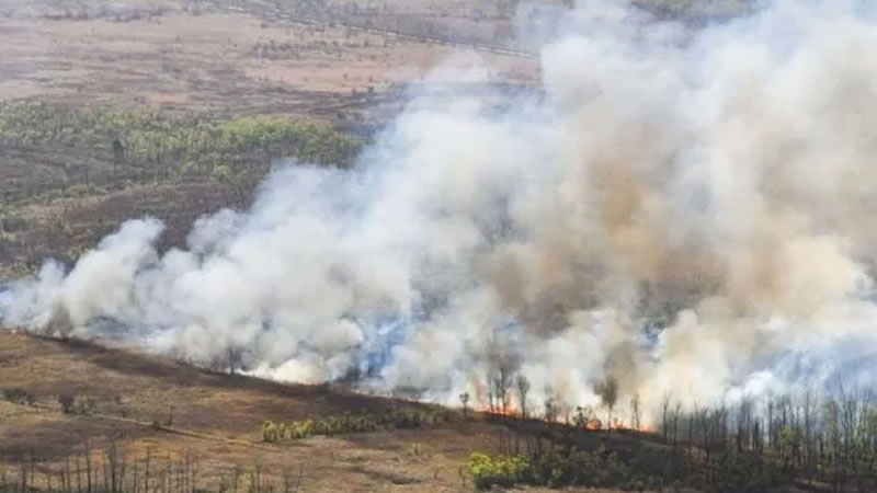 Condenan a dos personas por provocar incendios en el Delta