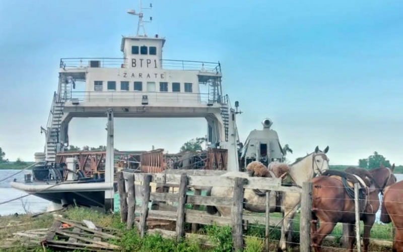 Una barcaza del Ejército traslada ganado por la creciente de los ríos