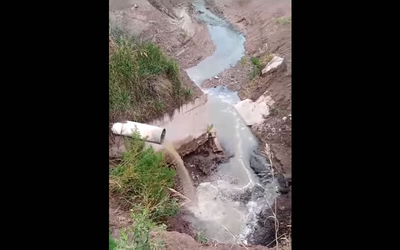 Imágenes de la peligrosa contaminación del arroyo Las Tunas que inquieta a los paranaenses