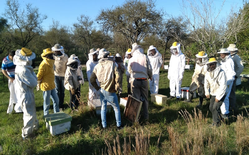 Más de 650 productores apícolas recibirán el aporte del programa de Fortalecimiento Productivo para su sector