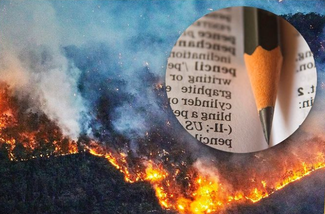El diccionario de la RAE admitirá 65 términos relacionados a la crisis climática
