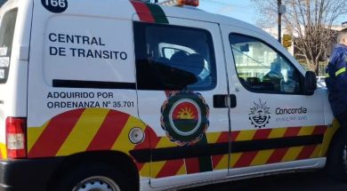 WhatsApp Image 2023-11-01 at 18.25.50