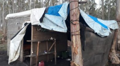 WhatsApp-Image-2023-11-04-at-3.16.02-PM-1-e1699123872100-660×330