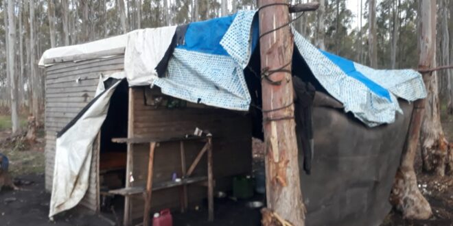 Fueron rescatados tras sufrir explotación laboral en un campo de la zona