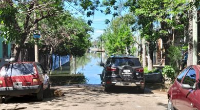 WhatsApp Image 2023-11-11 at 10.09.57