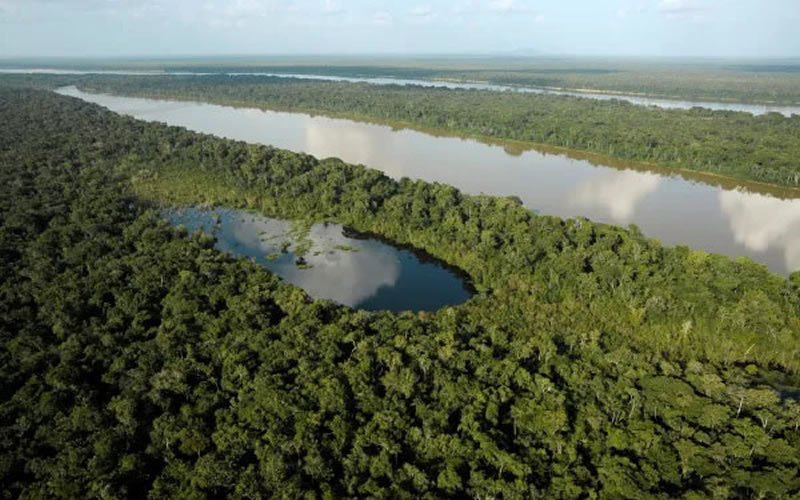 Selva amazónica: Qué es, dónde está, animales y tribus