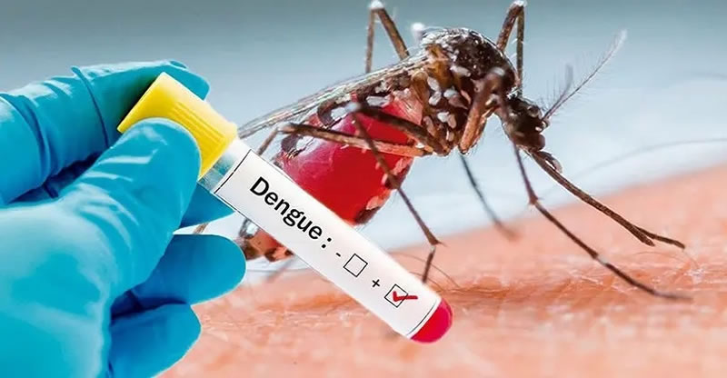 Alerta: Confirmaron la segunda muerte por dengue en las últimas 48 horas