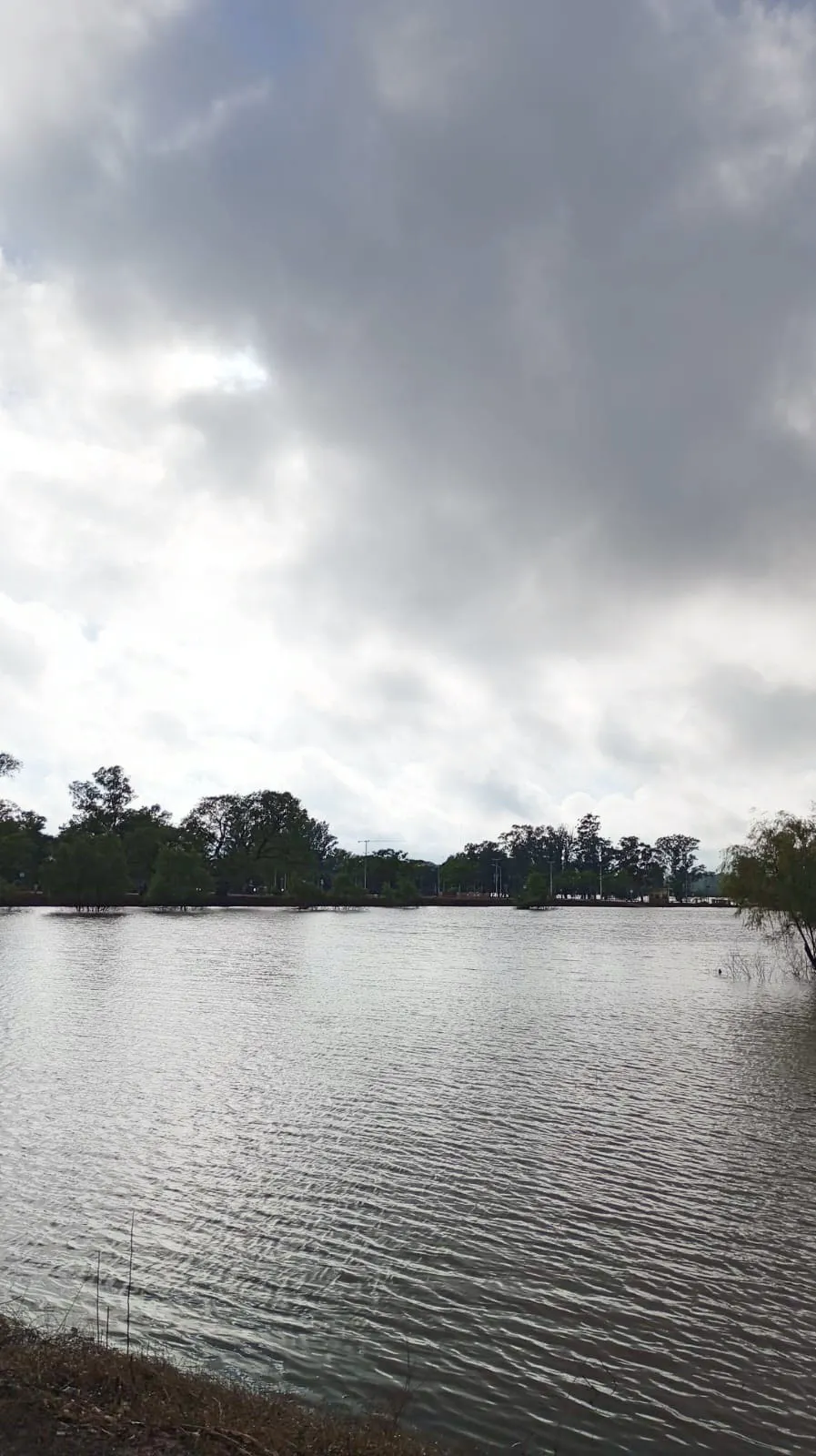 Vecinos retornan a sus hogares debido a la bajada del río, ya está en los 10 metros frente al puerto local