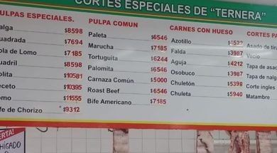 WhatsApp Image 2023-12-15 at 7.08.35 AM