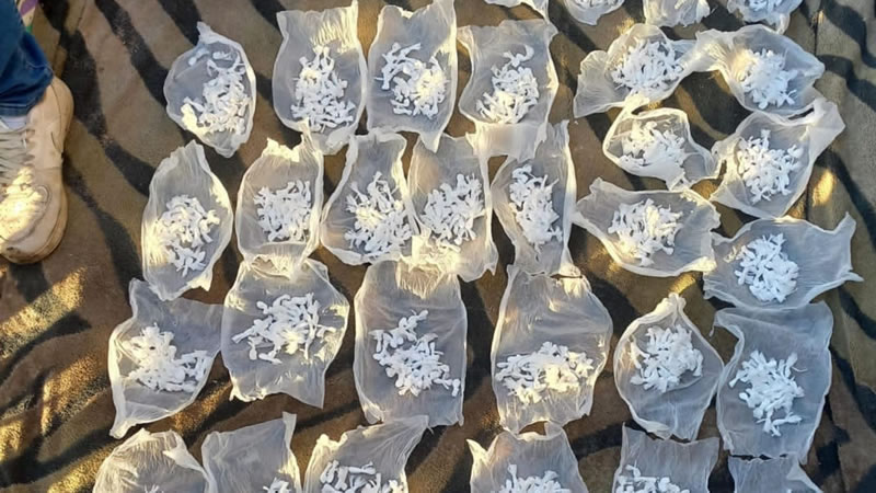 Ministro de Seguridad: Hay “una decisión política de ir a fondo” en la lucha contra el narcotráfico