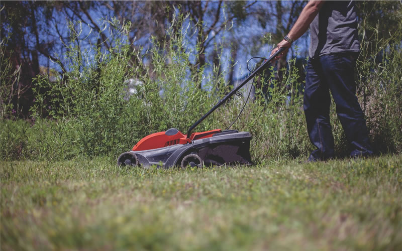 Multiplican las acciones sanitarias para erradicar el dengue