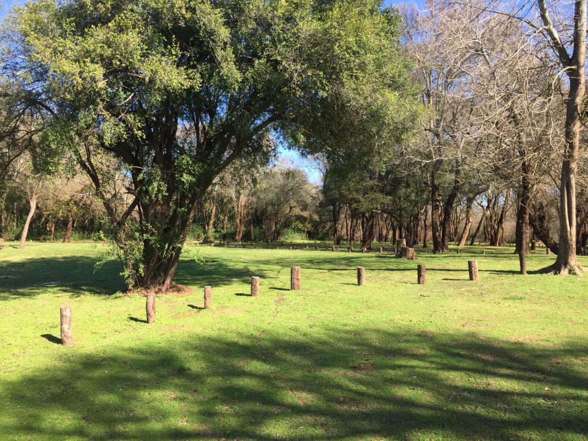 De cada loteo que se hace en Concordia el 14% debe ser destinado a espacios verdes