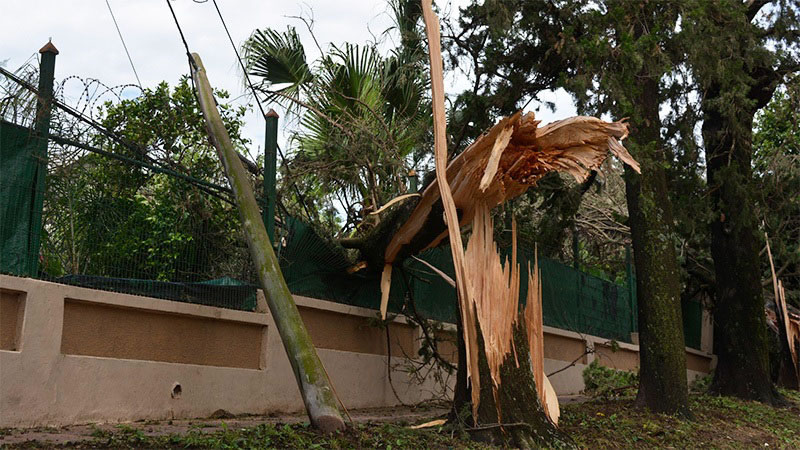 Asisten a afectados por el temporal en Diamante: Cayeron postes de alumbrado y más de 200 árboles