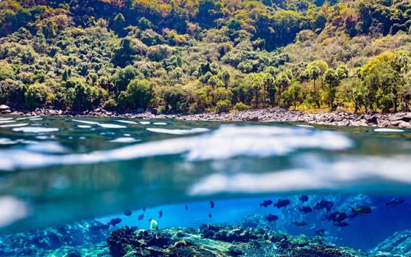 La valoración y protección de la naturaleza es una pieza clave para un mundo más justo