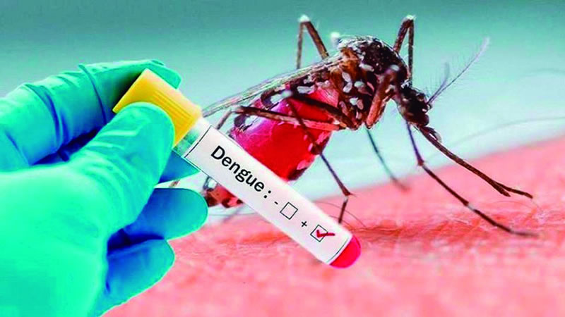 Ya se detectaron 12 casos de dengue en Entre Ríos