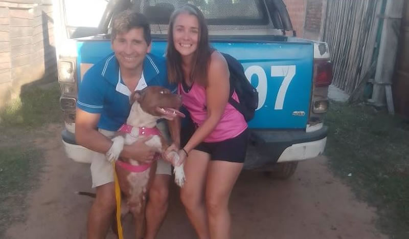 Les habían robado el perro y descubrieron que lo vendían por redes sociales