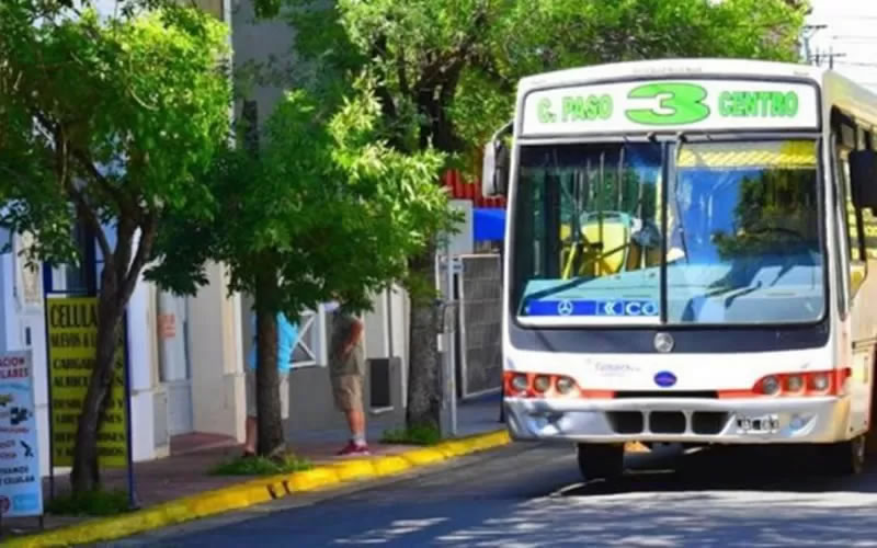 Paro nacional: Colectivos funcionarán con normalidad hasta nuevo aviso