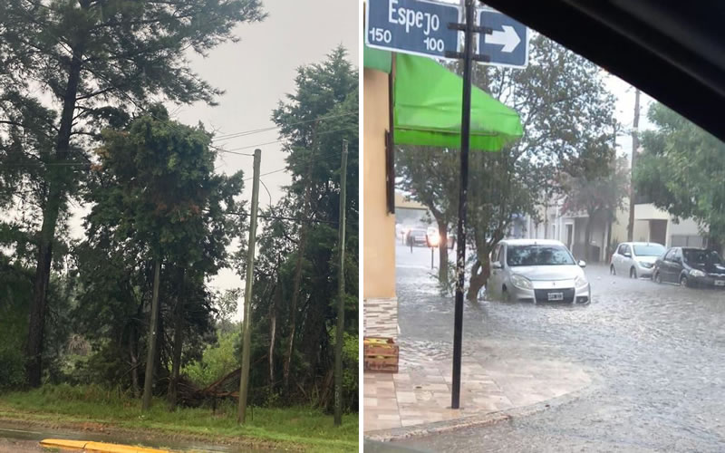 Tras las intensas lluvias la Cooperativa Eléctrica trabajó en distintos puntos de la ciudad