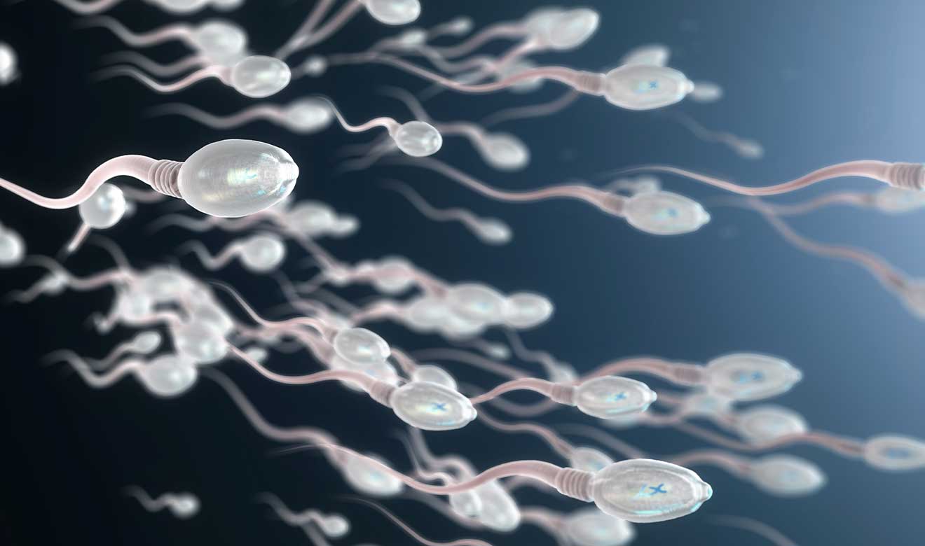 DIU para hombres: el método anticonceptivo masculino que continúa avanzando y demostrando su éxito