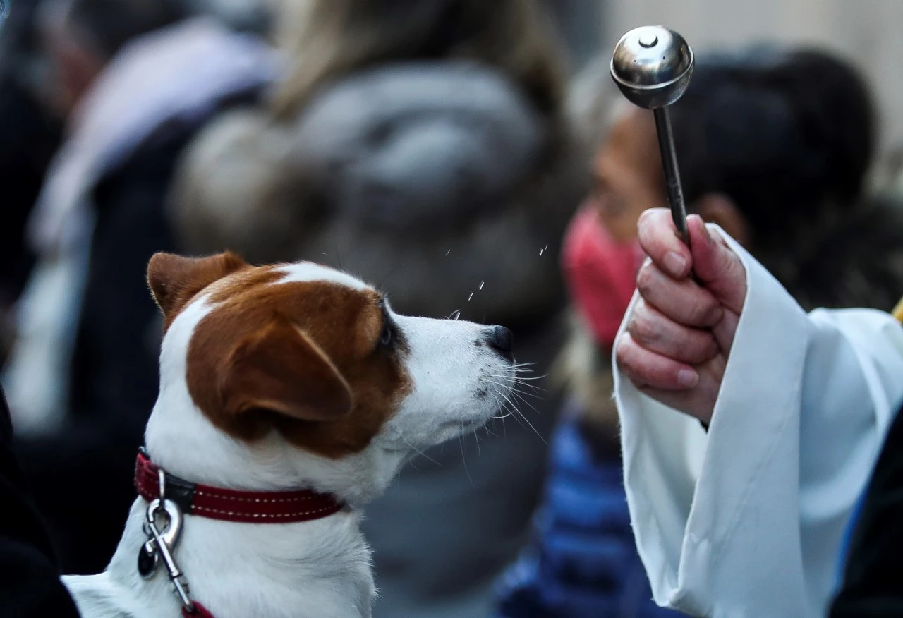 La simpática tradición de bendecir a mascotas y animales en el día de San Antonio Abad