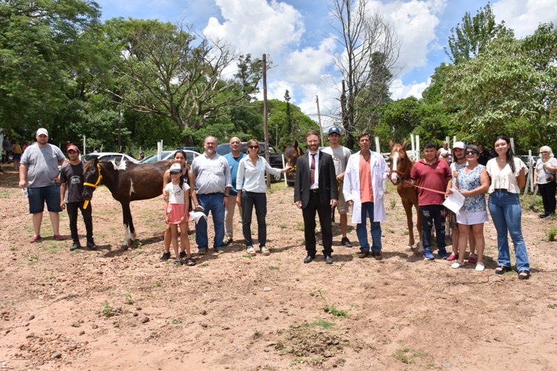 Se entregaron en adopción a tres equinos recuperados de distintas realidades