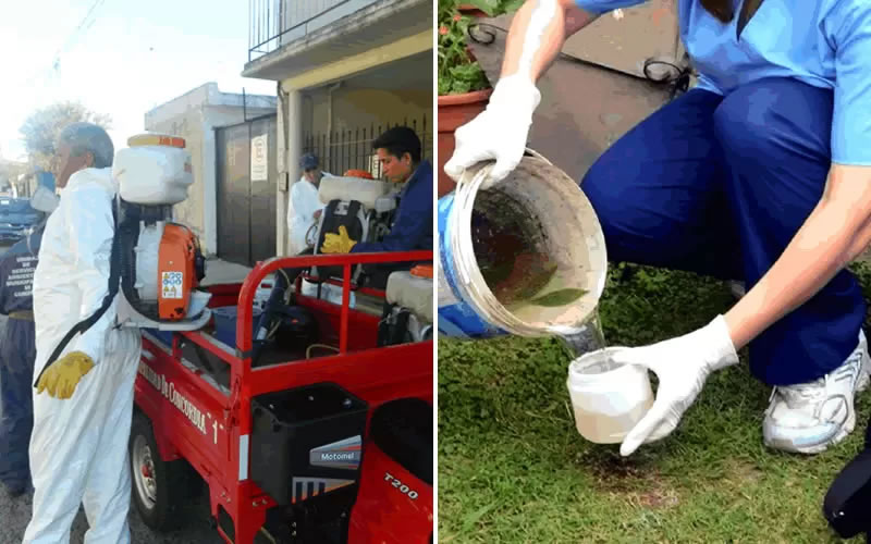 Trabajan en la prevención para reducir la posibilidad de casos de dengue autóctonos