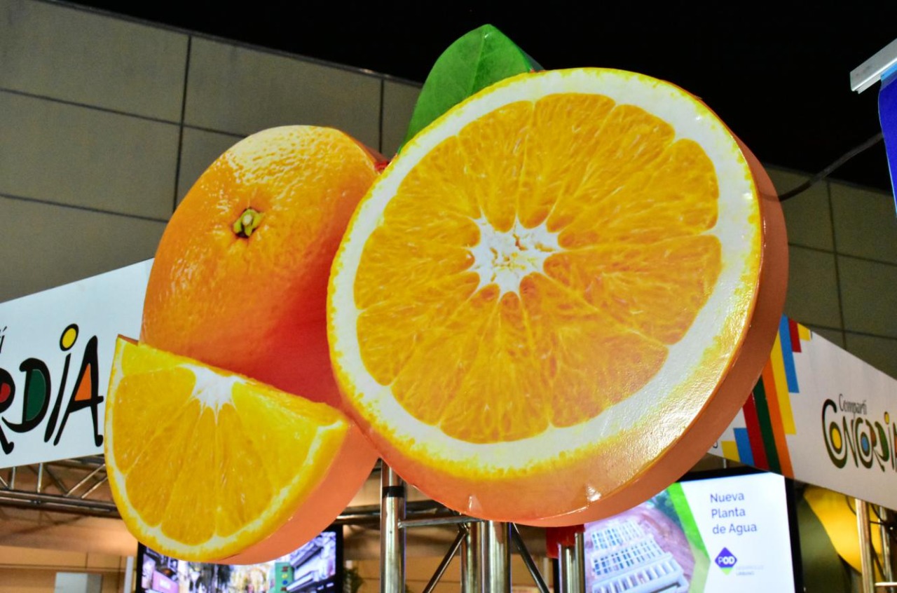 Habrá dos fiestas de la Citricultura, lo confirmó la nueva responsable de Fiestas Populares de la Municipalidad