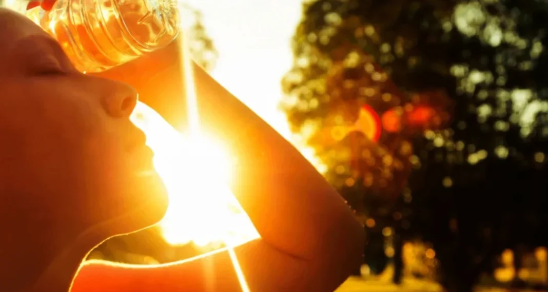 Alerta roja eléctrica por la ola de calor