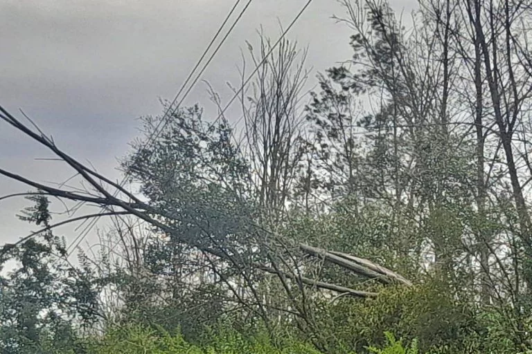 Tormentas, falta de prevención de los privados y daños al sistema eléctrico