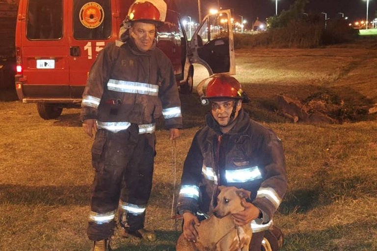 Zapadores se convirtieron en héroes al rescatar un perro que cayó a un pozo