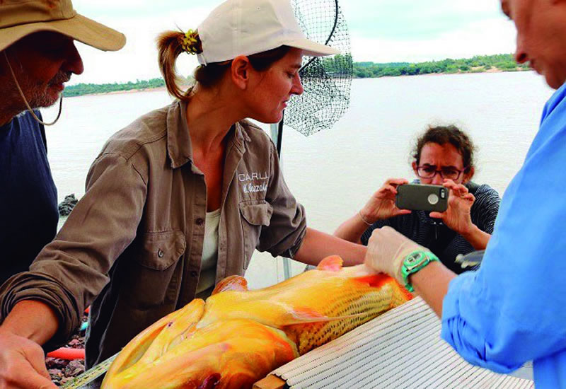 Advertencia de CARU: Hallazgo de sustancias tóxicas en peces del río Uruguay