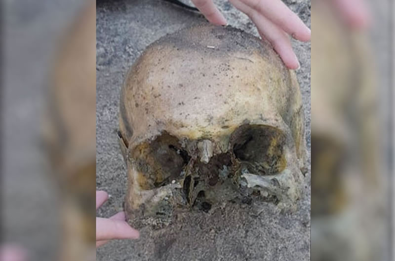 Hallaron un cráneo humano a orillas del Arroyo San Francisco