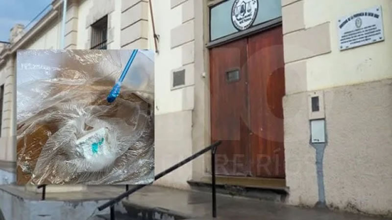 Para neutralizar el ingreso de estupefacientes a las cárceles van a colocar perros adiestrados