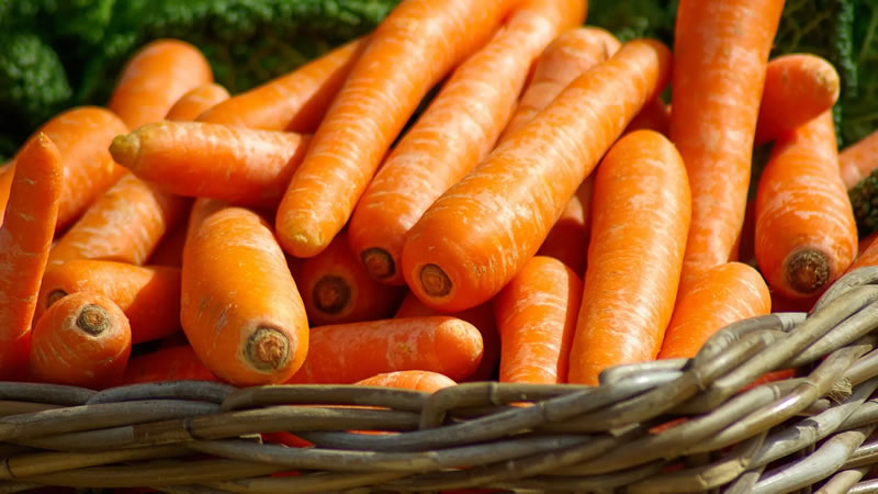 ¿Cuáles son los beneficios que aportan las zanahorias?