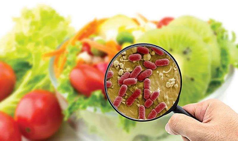 Bromatología: Recomendaciones para evitar enfermedades transmitidas por alimentos