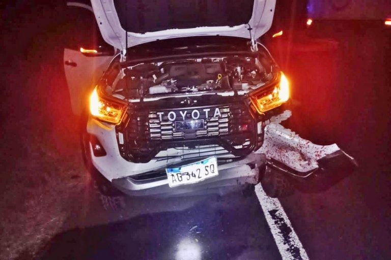 Un ciervo se cruzó y terminó golpeando ante una camioneta en zona de La Criolla