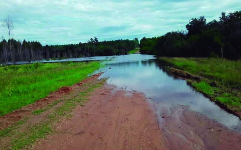 El mal clima obliga a posponer nuevamente la primera fecha del Rally en Estancia Grande: Se correrá en abril