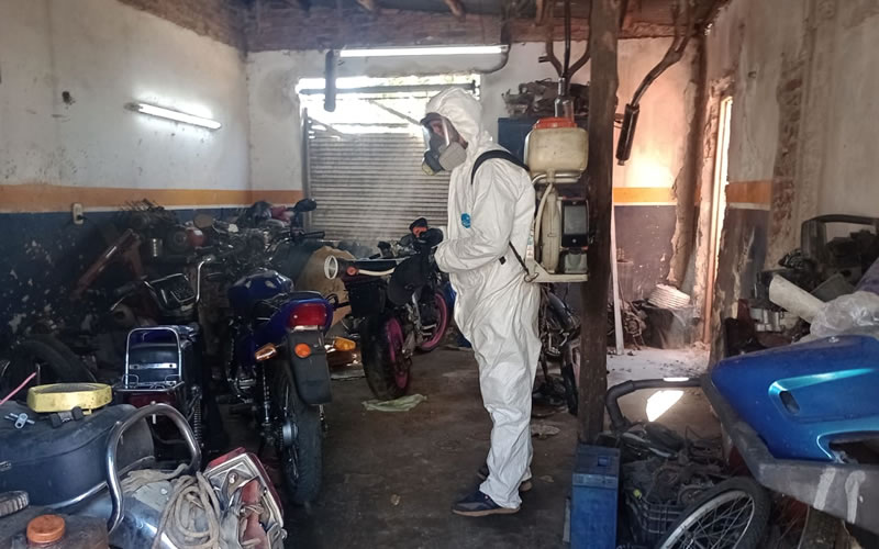 Dengue: Mientras continúan los operativos de fumigación, la limpieza sigue siendo la medida preventiva más eficaz