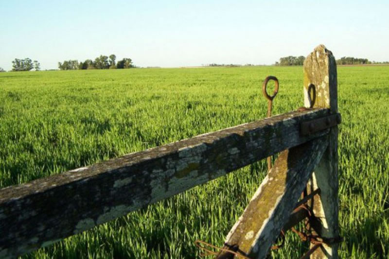 Tuvo un accidente de trabajo en el campo y sufrió graves lesiones