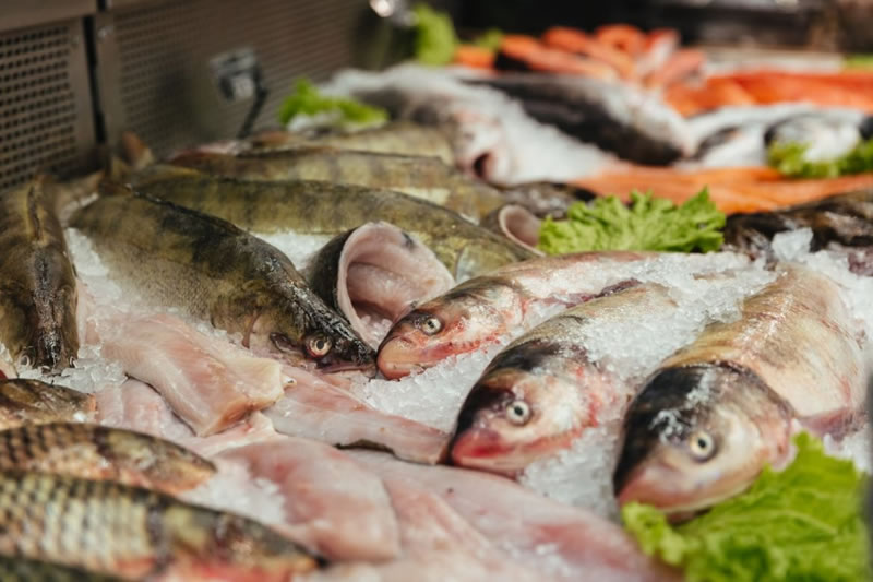 Recomendaciones de Bromatología para la adquisición y consumo de pescados